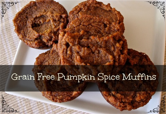 Grain Free Pumpkin Spice Muffins